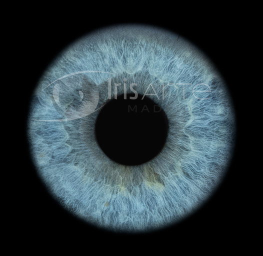 IrisArte Fotografía del Iris en Madrid, Tres Cantos, Alcobendas, Colmenar Viejo, Las Tablas, Sanchinarro,Momntecarmelo, LAs Rozas, Pozuelo