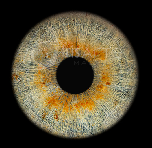 IrisArte Fotografía del Iris en Madrid