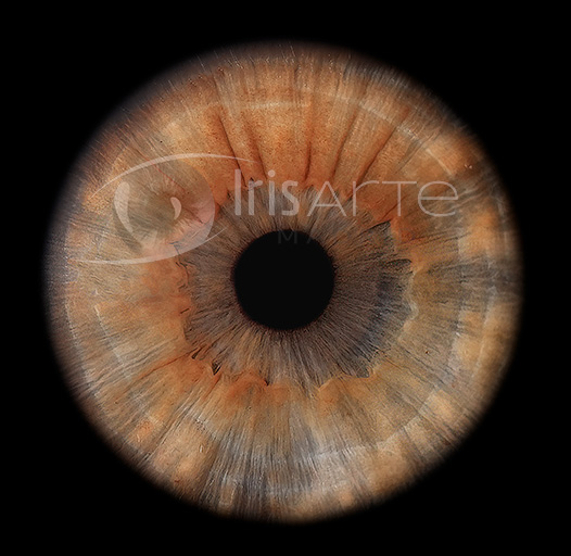 IrisArte Fotografía del Iris en Madrid,