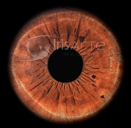 IrisArte Fotografía del Iris en Madrid