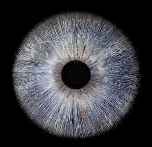 IrisArte Fotografía del Iris en Madrid