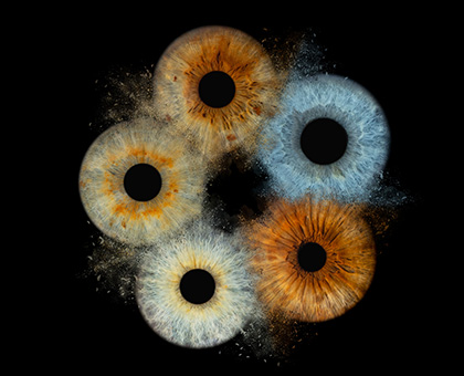 IrisArte Fotografía del Iris en Madrid, Tres Cantos, Alcobendas, Colmenar Viejo, Las Tablas, Sanchinarro, Montecarmelo, Las Rozas, Pozuelo