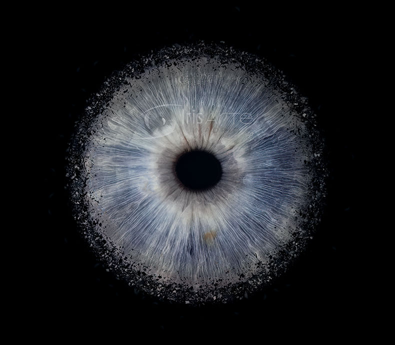 IrisArte Fotografía del Iris en Madrid, Tres Cantos, Alcobendas, Colmenar Viejo, Las Tablas, Sanchinarro,Momntecarmelo, LAs Rozas, Pozuelo